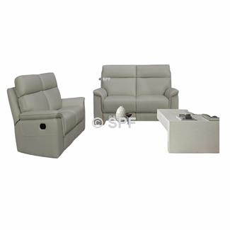 Dumel 2 Seater Leather 